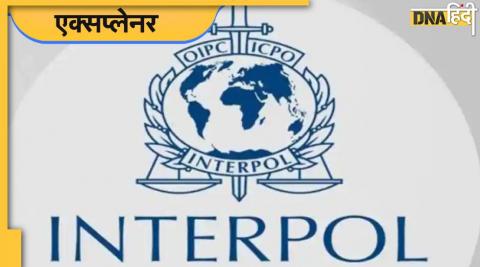 What types Interpol notices first time Red Corner issue 1947