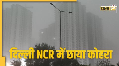 Fog in Delhi NCR