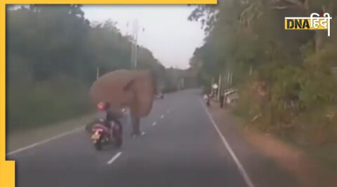 Elephant viral video : हाथी का वायरल वीडियो