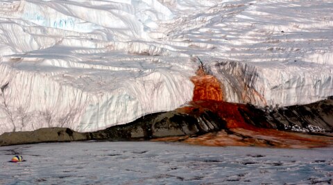 Taylor Glacier interesting fact