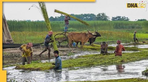 PM Kisan Yojana