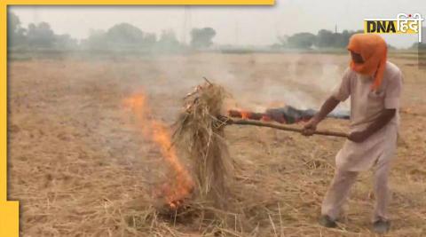 Parali Burning in Punjab