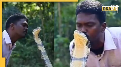 snake viral video