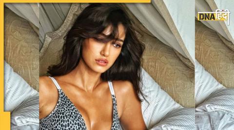 Disha Patani Hot Photo