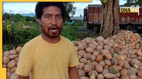 Pumpkin Farmer