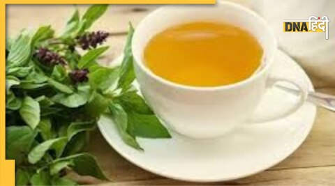 body detox tea how to make herbal tea benefits 