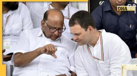 Sharad Pawar walk Rahul Gandhi Shivsena NCP announced support