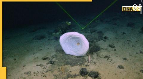 OceanGate explorers solve a 26-year-old mystery and document life near the Titanic