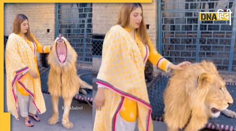 Lion viral video