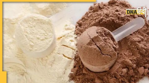 protein powder side effects in hindi 