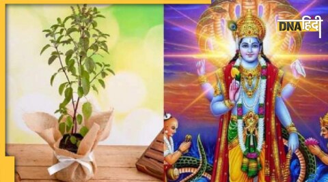 tulsi vivah at home samagri pujan vidhi