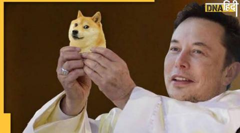 elon musk dogecoin hike