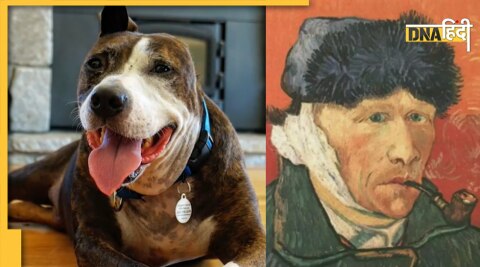 Van Gogh Dog