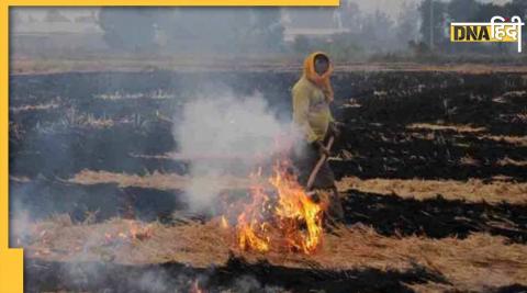 UP If stubble burnt fields farmers get benefit Kisan Samman Nidhi scheme