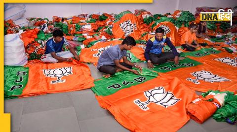 BJP Flags