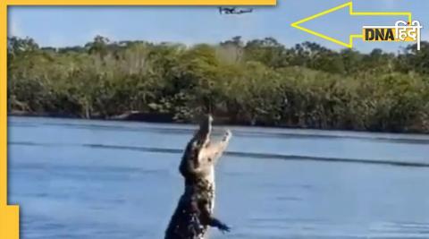 crocodile attack on drone camera