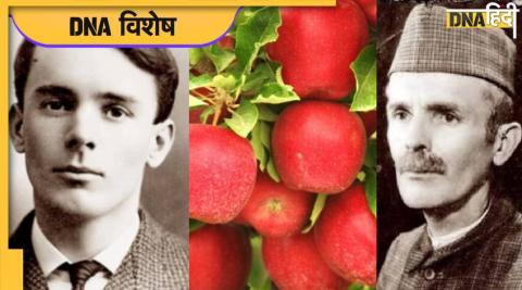 Satyanand Stoks Apple Men of Himachal Pradesh