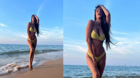 Poonam Pandey Bikini Photos