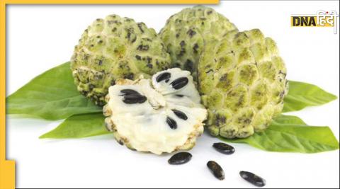 Custard Apple Benefits