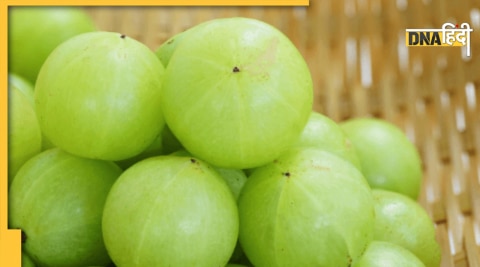 amla health benefits amla khane ke fayde digestion