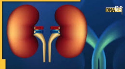 kidney problem sign from mouth smell