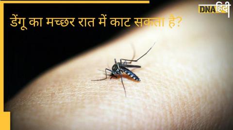 Dengue Fact Check: डेंगू का मच्छर क्या केवल दिन में ही काटता है?