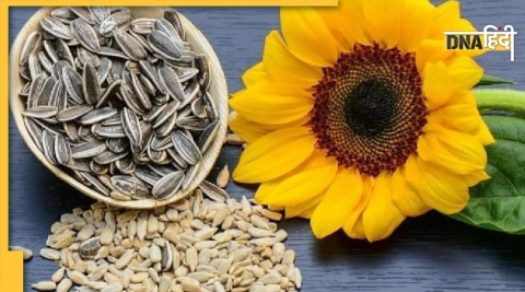 8 seeds benefits for mens sexual health and life  