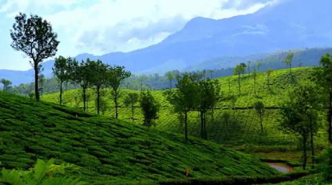 Wayanad