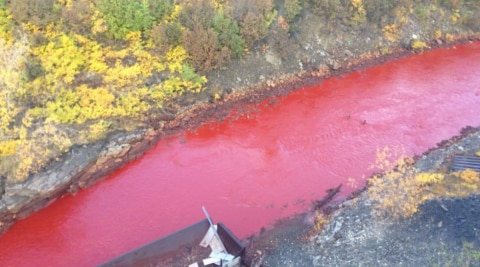 blood red river in siberia