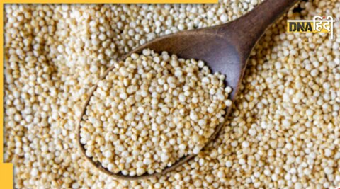 quinoa health benefits reduce weight sugar upma khichdi recipe 