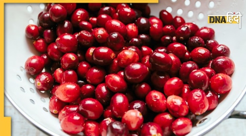 cranberry health benefits cancer cell reduces berry ke fayde 