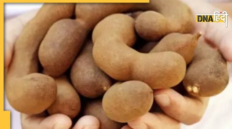 imli benefits for men sperm count increase tamarind 