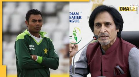 pakistan former player danish kareria said PCB does not have guts to boycott any ICC event on ramiz raja