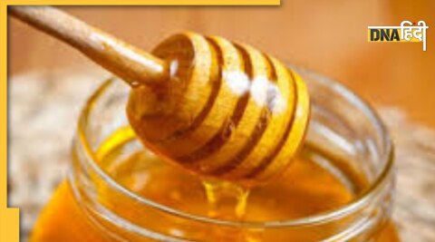 honey melt fat in blood vein naturally remedy for bad cholesterol 