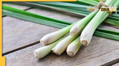 lemon grass reduce bad cholesterol sugar benefits digestion depression 