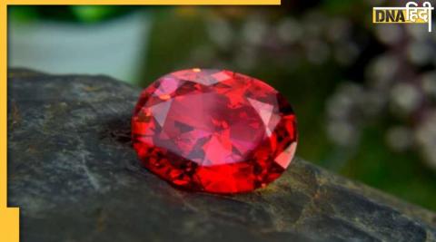 Gemstone Benefits: नेम-फेम और नौकरी में चाहिए तरक्की तो सूर्य का ये रत्न पहन लें, कदम चूमेगी सफलता