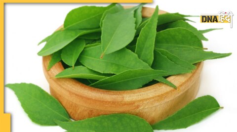 green leaves to cure type 2 diabetes 