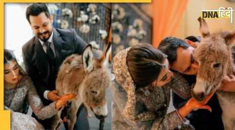 pakistan groom donkey gift bride instagram video viral