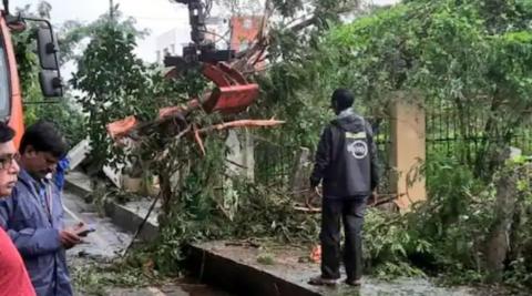 तेज रफ्तार से आए तूफान के कारण इलाके में कई पेड़ टूटकर गिर गए हैं