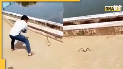 Snake Viral Video