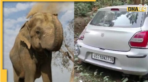 Assam elephant attack autorickshaw and swift car 3 killed golpara forest area