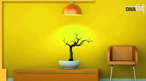 Vastu Tips For Wall Painting