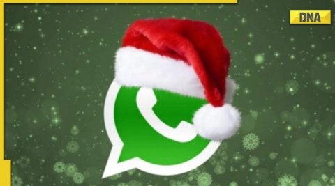 whatsapp christmas hat