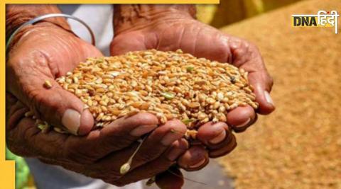 Covid 19 modi governmen free food grain scheme extended one year 