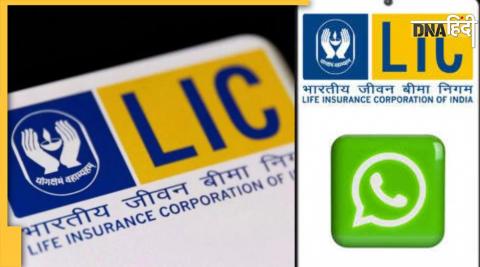 lic whatsapp service