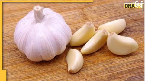 Garlic Side Effects: इन 7 बीमारियों में लहसुन खाना पहुंचा देगा हॉस्पिटल, ये लोग ज्यादा रहें सतर्क