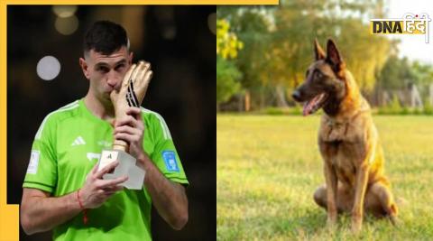 fifa world cup 2022 dog to protect football winners medal argentina star emi martinez