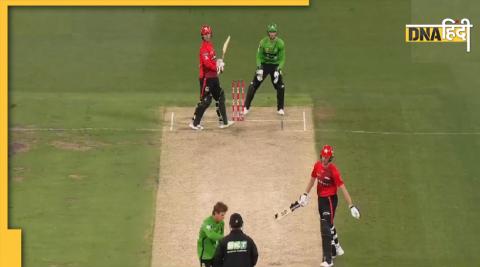 Adam Zampa Mankading Video