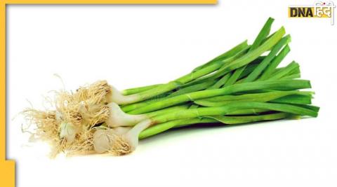 Garlic Leaves Benefits: लहसुन ही नहीं, इसकी पत्तियों में भी है कई रोगों का इलाज