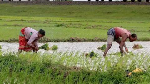 23 जनवरी को पीएम जारी करेंगे किस्त